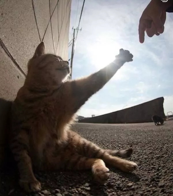A dose of happiness to make you smile - #1 