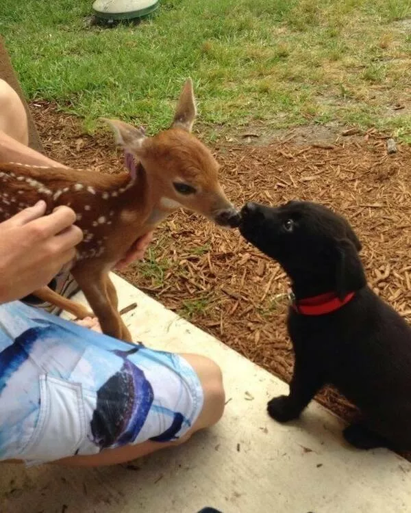 A dose of happiness to make you smile - #22 
