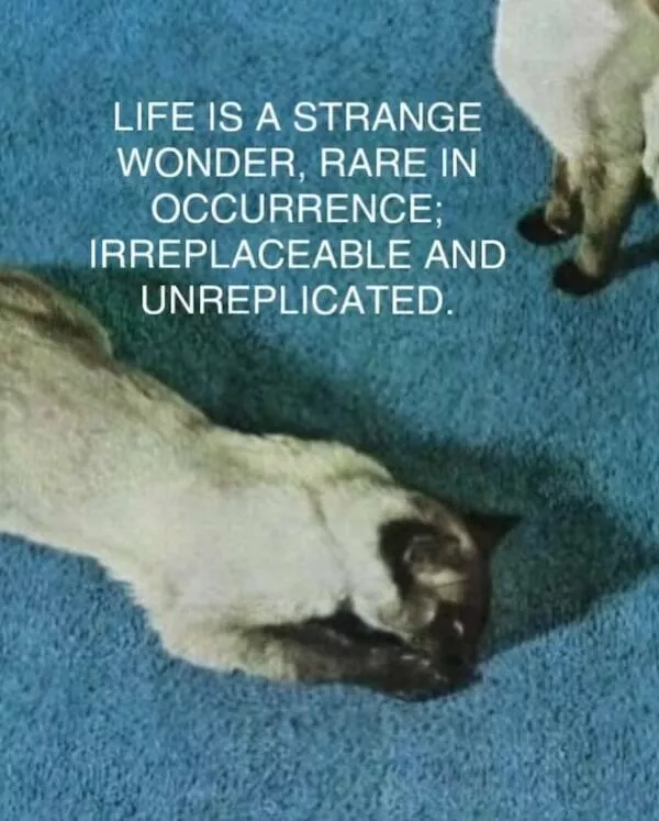 A dose of happiness to make you smile - #30 