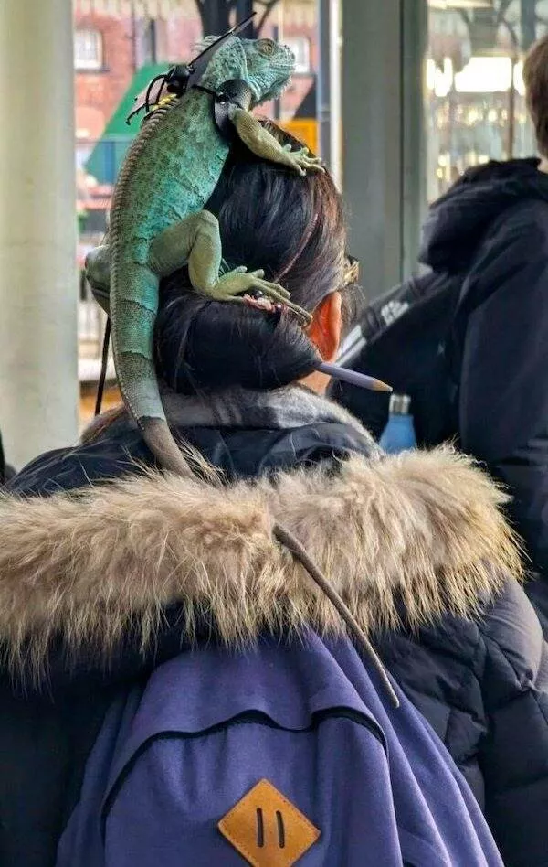 A totally random picdump to see - #17 