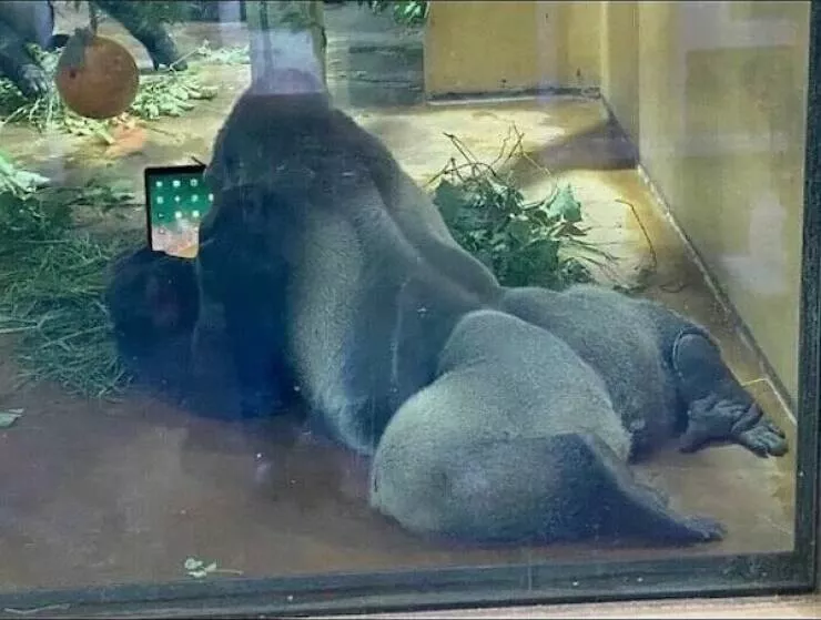 Picdump du jour 1080 cliches au hasard - #18 