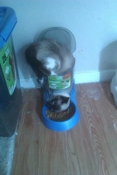 Picdump 146 - #2 