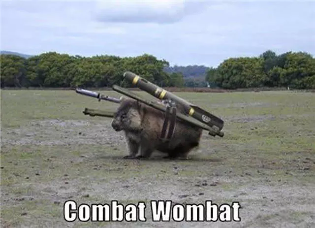 Picdump 146 - #53 
