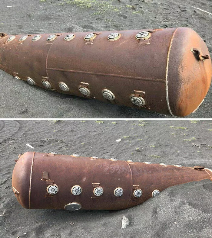 Decouvertes surprenantes sur la plage