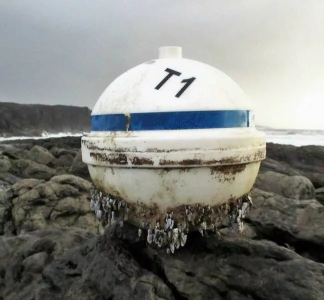 Surprising beach discoveries - #31 A buoy from the Florida Keys that washed up in Ireland