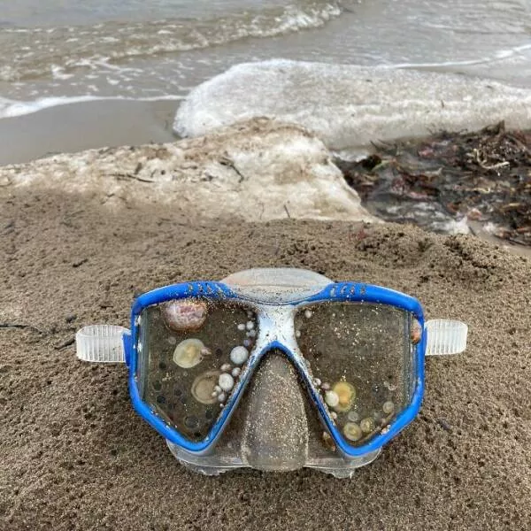 Surprising beach discoveries - #38 A diving mask with sand and shells embedded in it