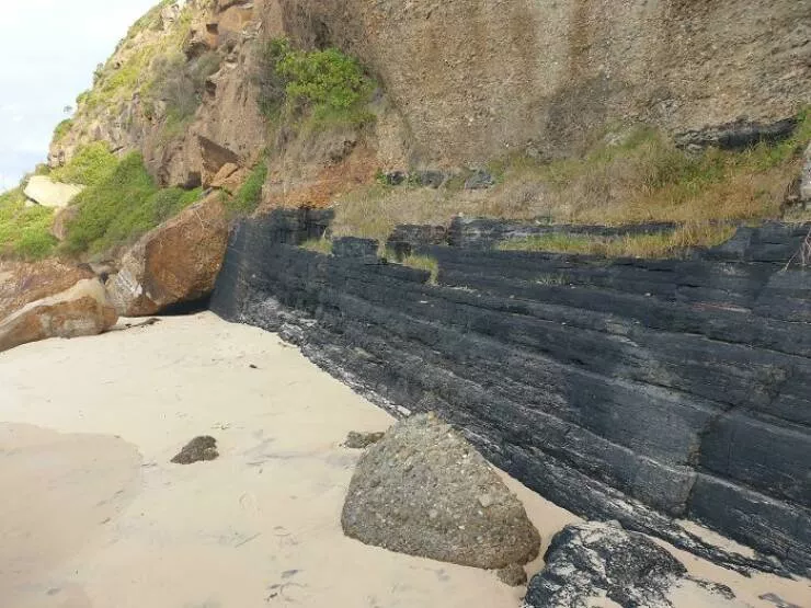 Surprising beach discoveries - #6 An exposed coal seam in a cliff at my local beach