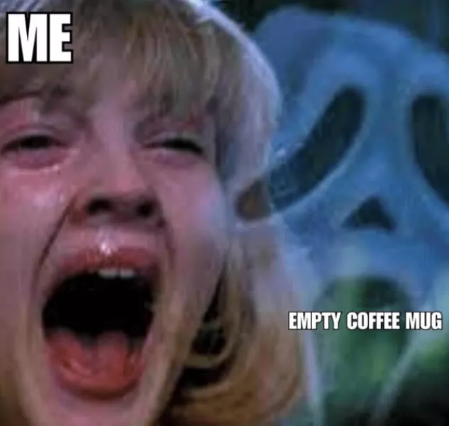 Dogs and coffee a hilarious mix - #11 