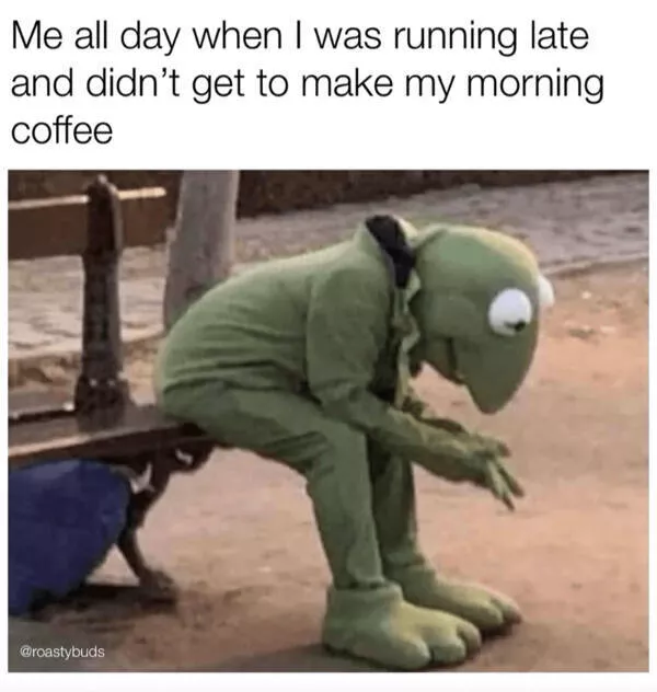 Dogs and coffee a hilarious mix - #22 