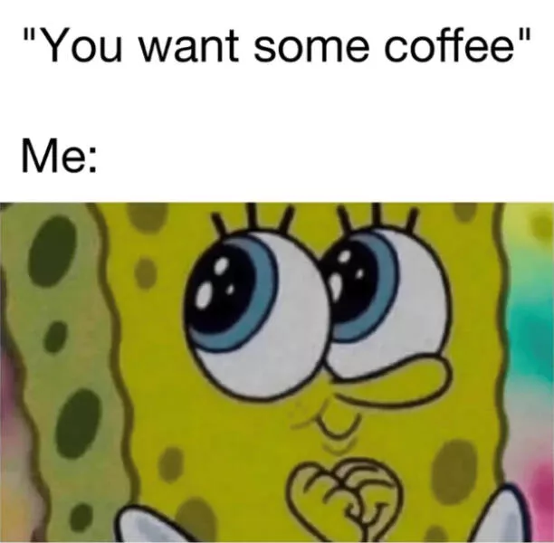 Dogs and coffee a hilarious mix - #27 