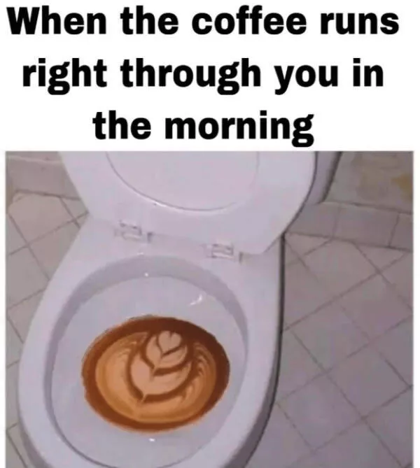 Dogs and coffee a hilarious mix - #32 
