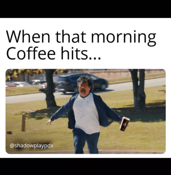 Dogs and coffee a hilarious mix - #4 