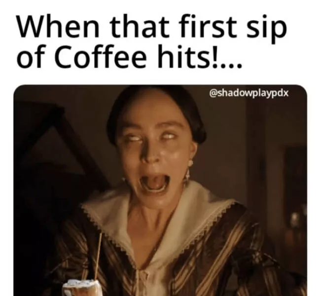 Dogs and coffee a hilarious mix - #8 