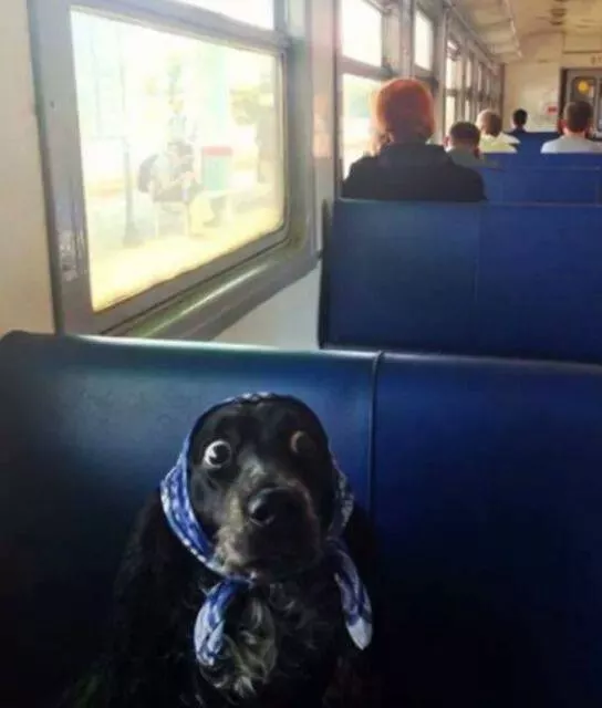 Picdump 19 - #10 