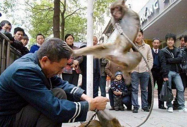 Picdump 19