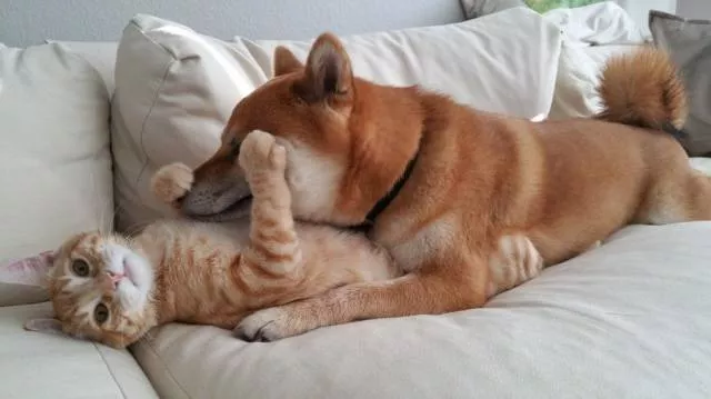 Picdump 19 - #20 
