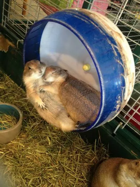 Picdump 19 - #31 