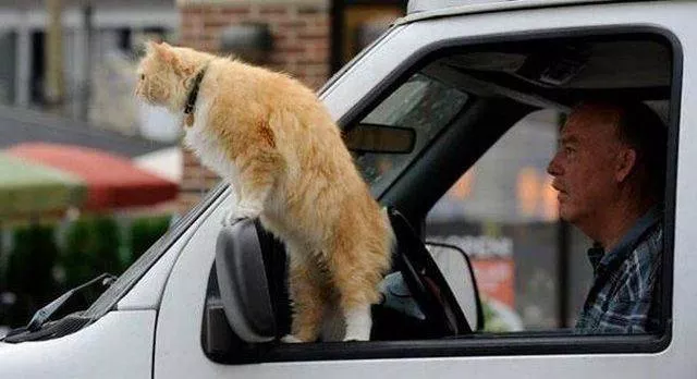 Picdump 19 - #33 