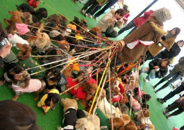 Picdump 19 - #35 