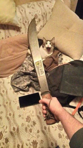 Picdump 19 - #36 