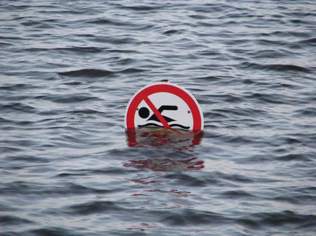 Picdump 19 - #4 
