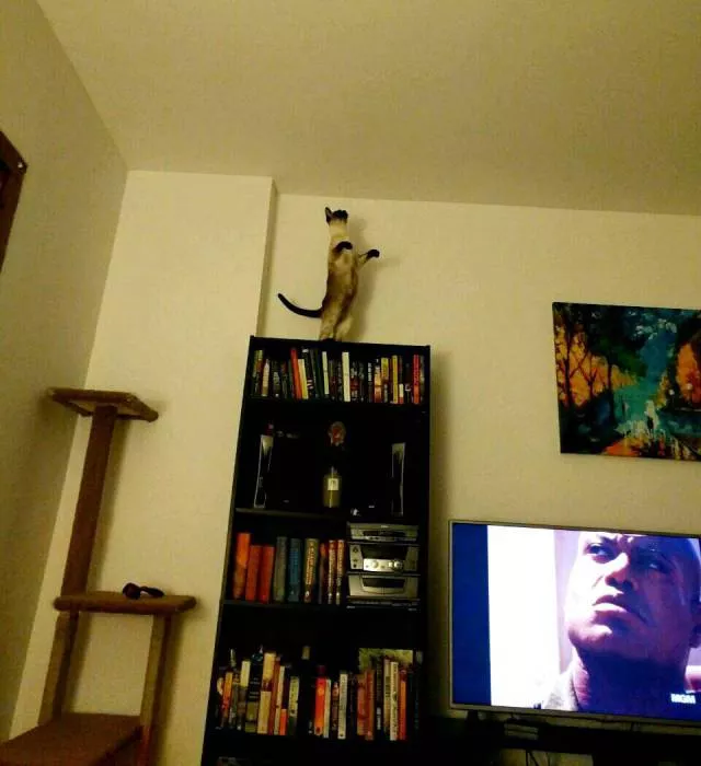 Picdump 19 - #72 