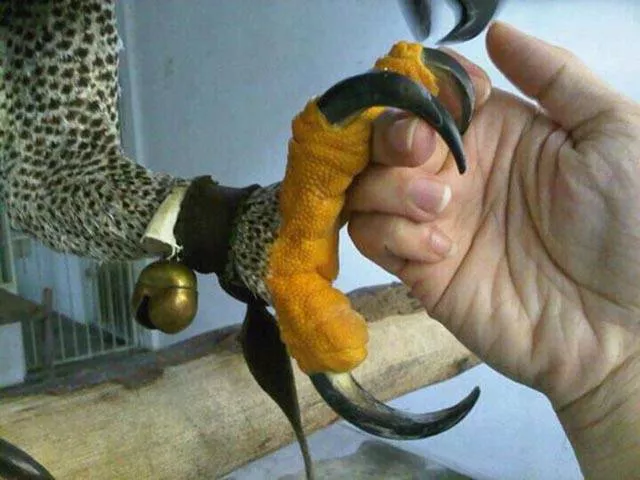 Picdump 19 - #78 