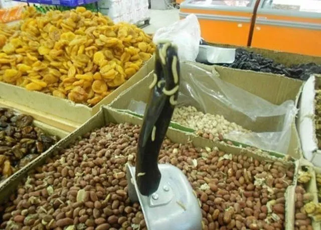 Top 41 fails - #34 Top 41 fails - #34