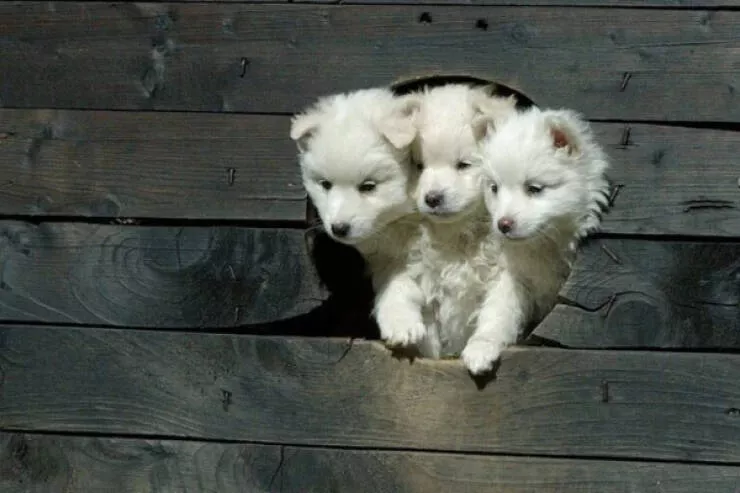 Picdump 1080 - #33 