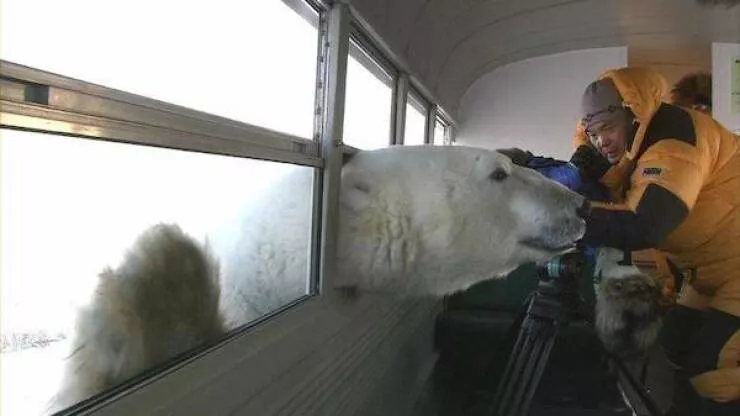 Picdump 1080 - #40 