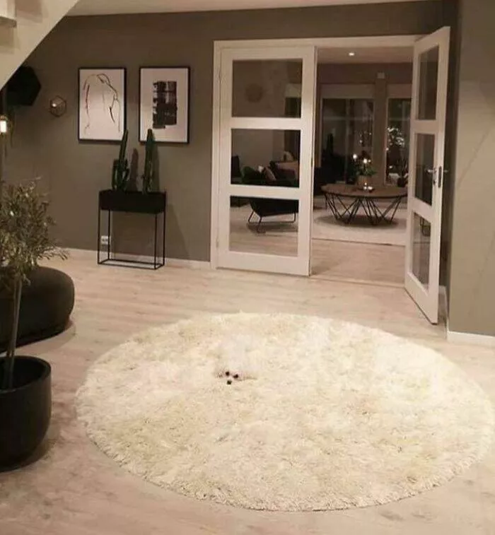 Accidental camouflage to trick your eyes - #37 