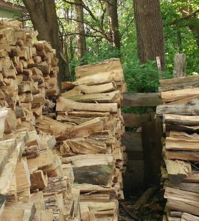 Accidental camouflage to trick your eyes - #4 
