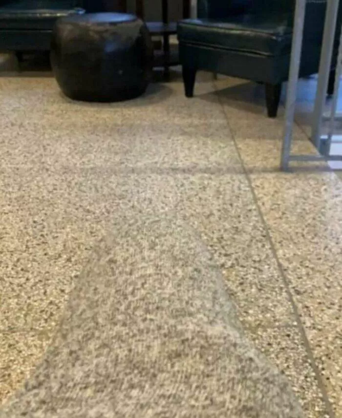 Accidental camouflage to trick your eyes - #45 Accidental camouflage to trick your eyes - #45
