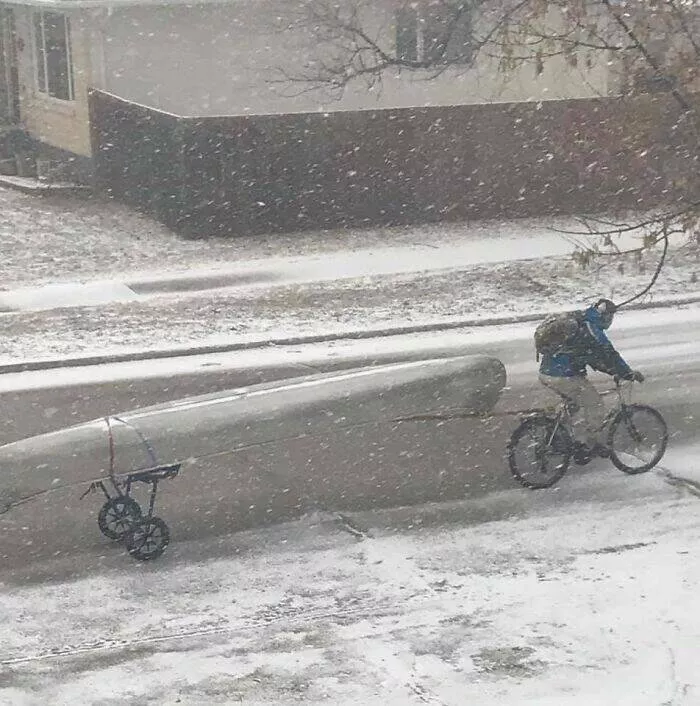 Accidental camouflage to trick your eyes - #6 