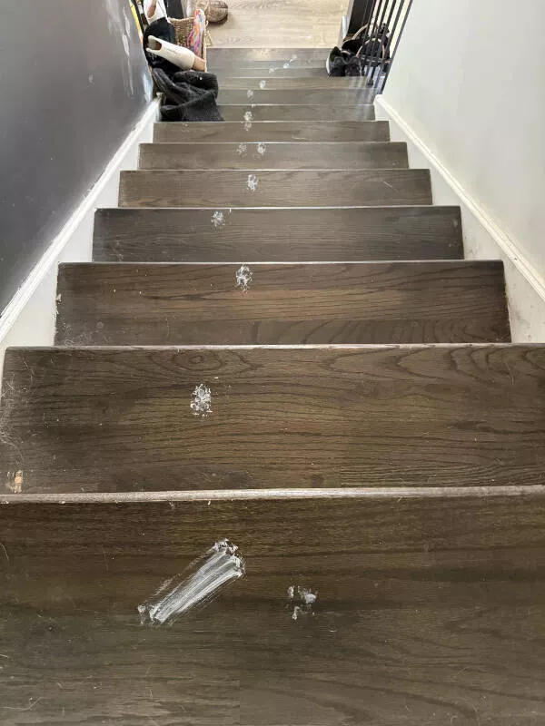 Mauvaise journee eux cest bien pire  - #14 Le chat a sauté dans le bac de peinture