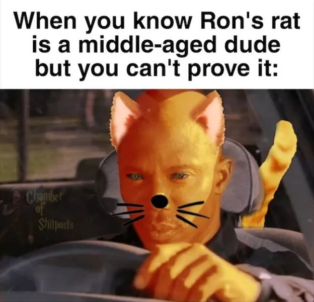 The most hilarious memes from the wizarding world - #11 