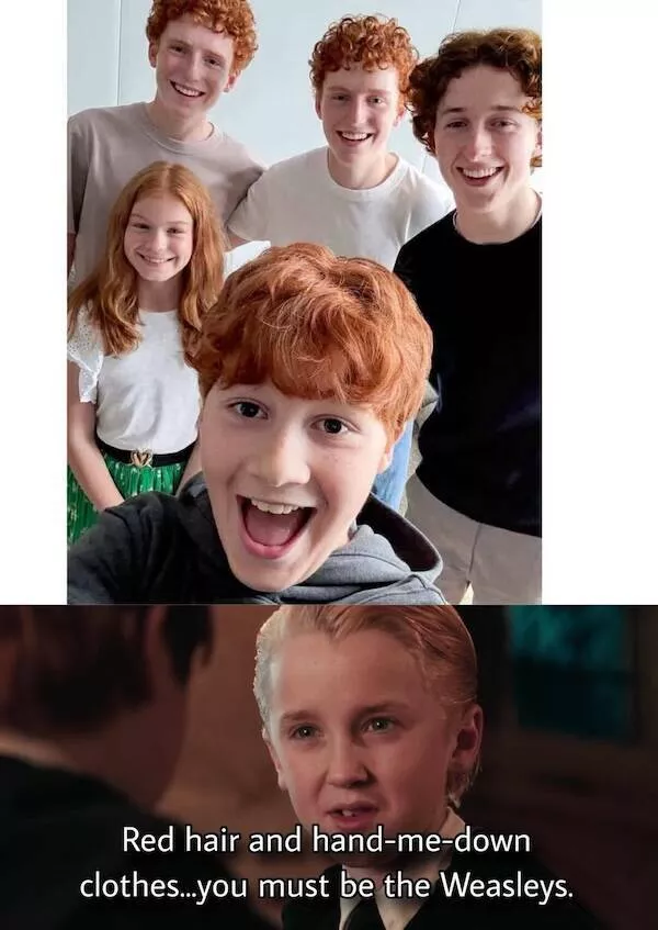 The most hilarious memes from the wizarding world - #18 