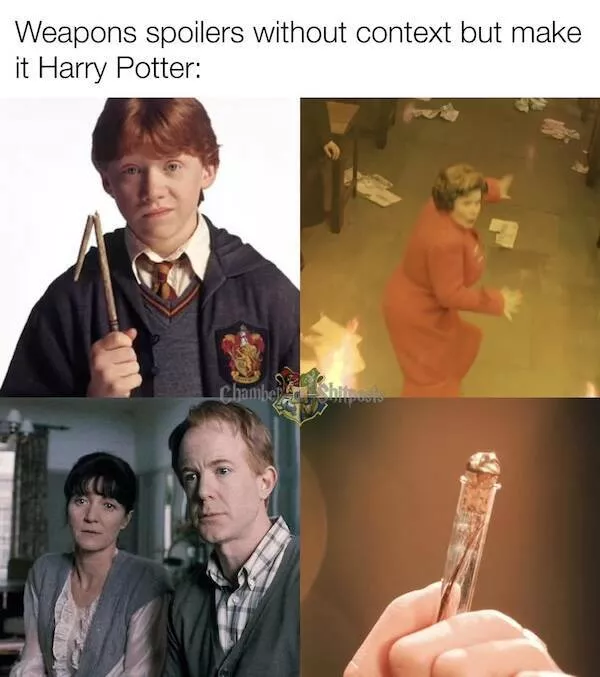 Les memes les plus droles du monde des sorciers