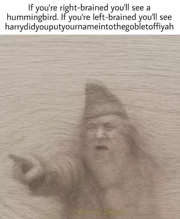 The most hilarious memes from the wizarding world - #21 