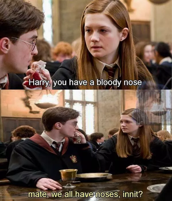 The most hilarious memes from the wizarding world - #26 