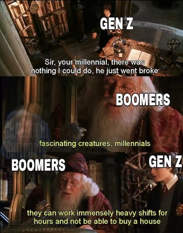 The most hilarious memes from the wizarding world - #28 