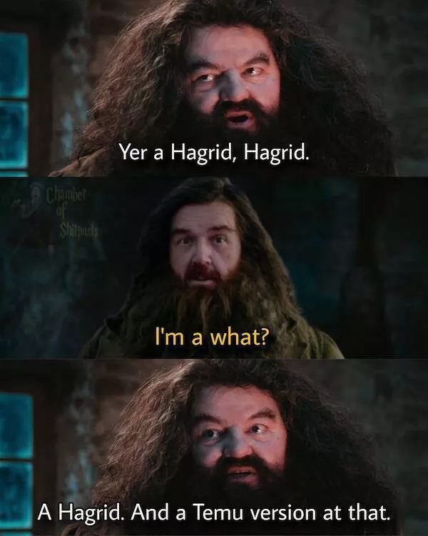 Les memes les plus droles du monde des sorciers - #3 