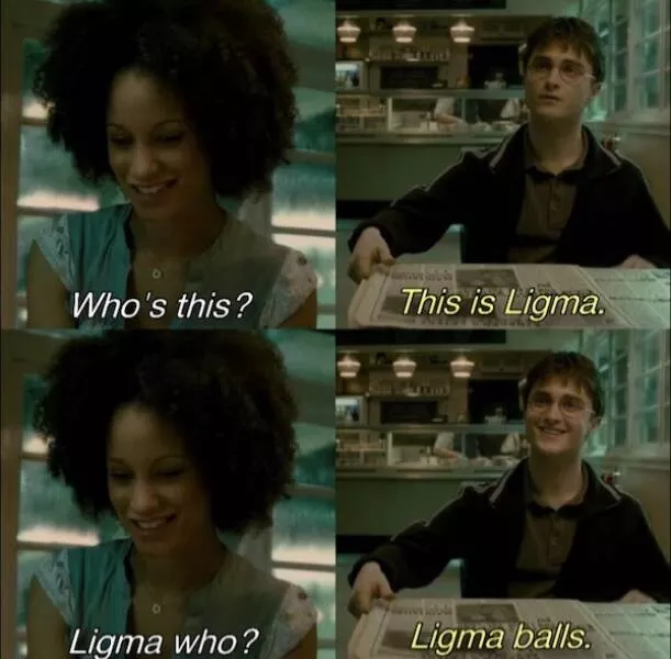 Les memes les plus droles du monde des sorciers - #5 