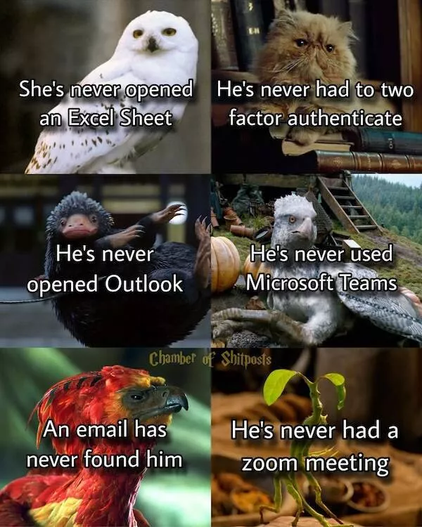 The most hilarious memes from the wizarding world - #6 