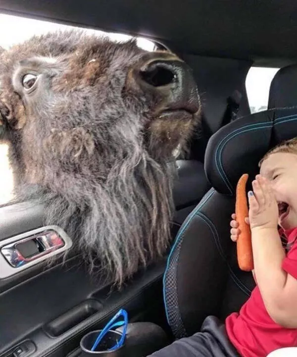 Photos taken at the perfect moment - #11 
