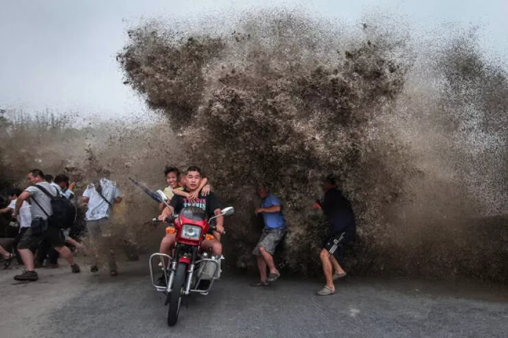 Photos taken at the perfect moment - #16 