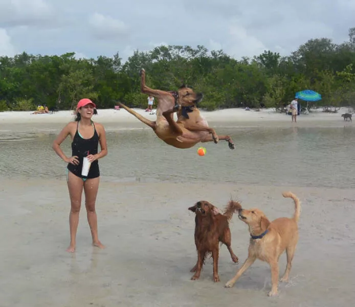Photos taken at the perfect moment - #18 