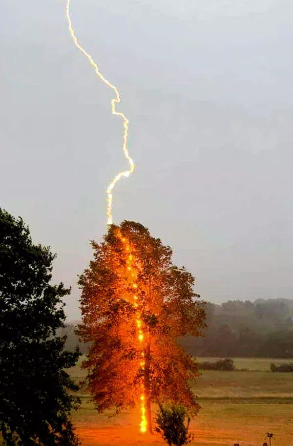 Photos taken at the perfect moment - #19 