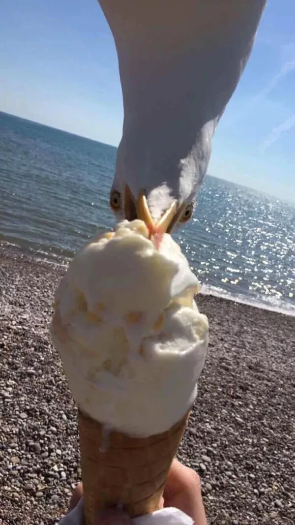 Cliches au timing parfait Cliches au timing parfait