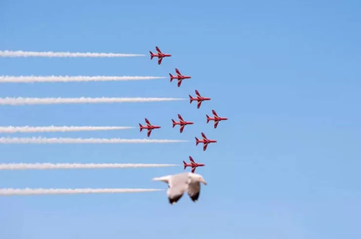 Photos taken at the perfect moment